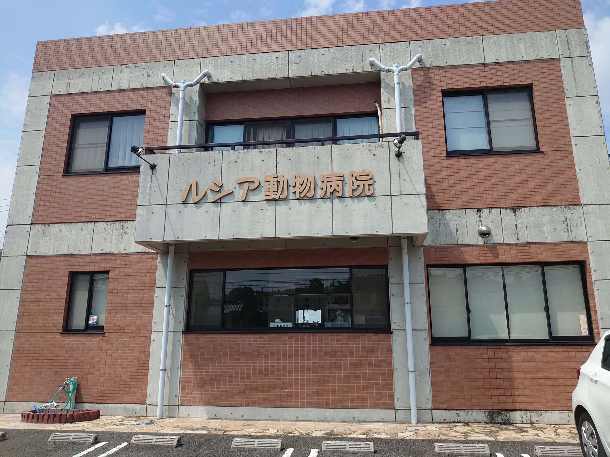 ルシア動物病院 公式 Jcb大分カード